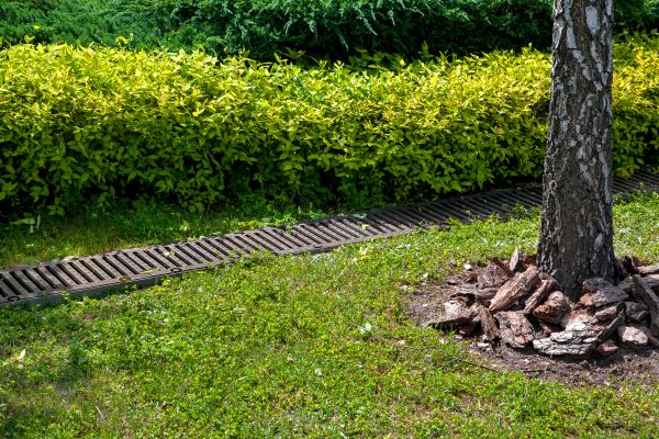 Cost of Residential Landscape Drainage in Pataskala