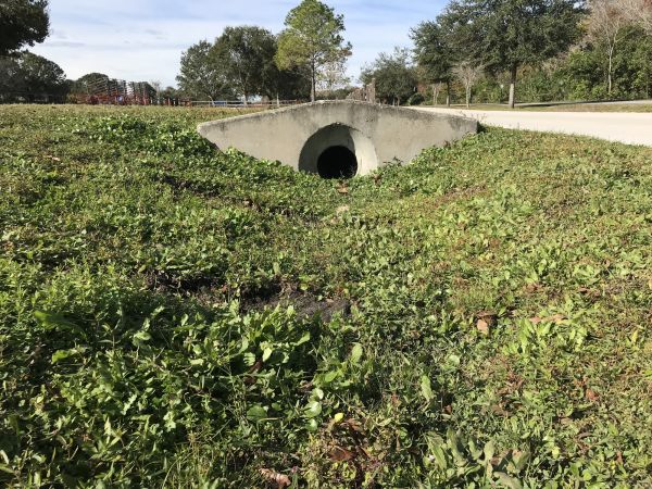 Cost of Swale Drainage Service in Pataskala