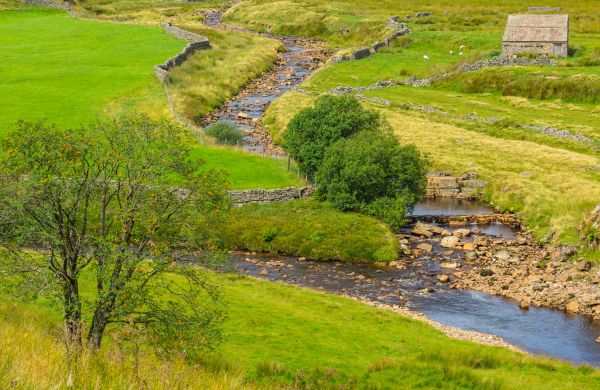 Cost of Swale Repair in Pataskala